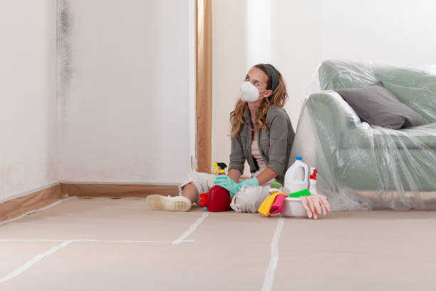 Reliable Attic Mold Removal contractor in Centreville, MI by WQB Mold Removal